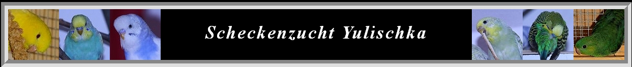 Gästebuch