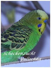 1.0 Dunkelgrün