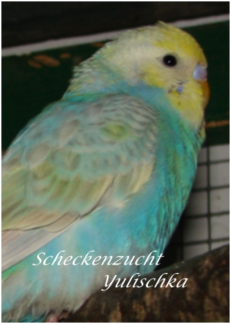 Mika